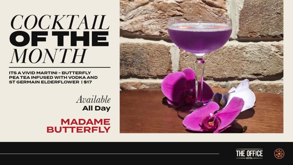 Vivid martini cocktail of the month promo